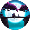 Alexandre Alcobia profile picture